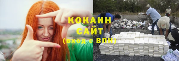 ешки Алзамай