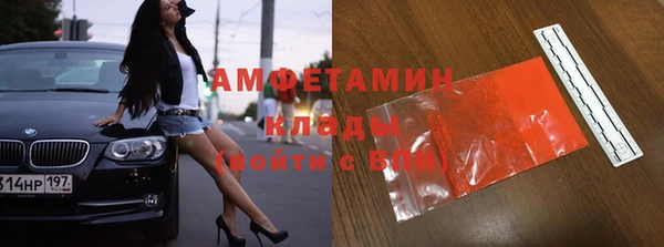 индика Абаза