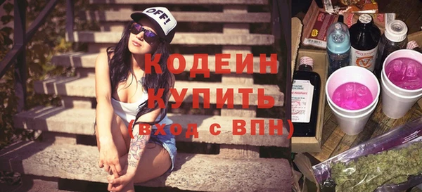 индика Абаза