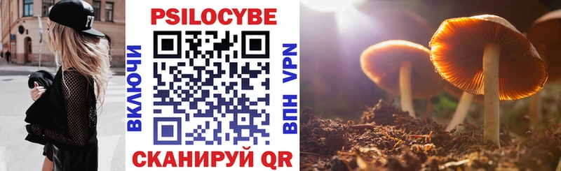 Псилоцибиновые грибы Psilocybine cubensis закладка Пошехонье